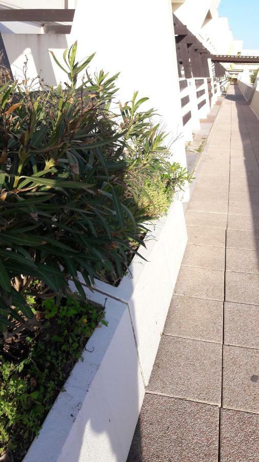 Naturist Paradise In « Swinging Cap » Apartment